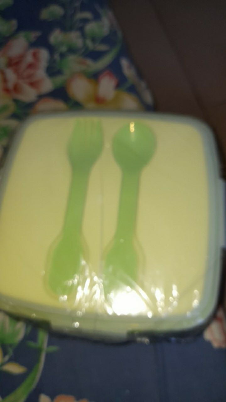 [ader_olshop] Kotak Tempat Makan Golden Sunkist Tnk 1028 (lunch Box)