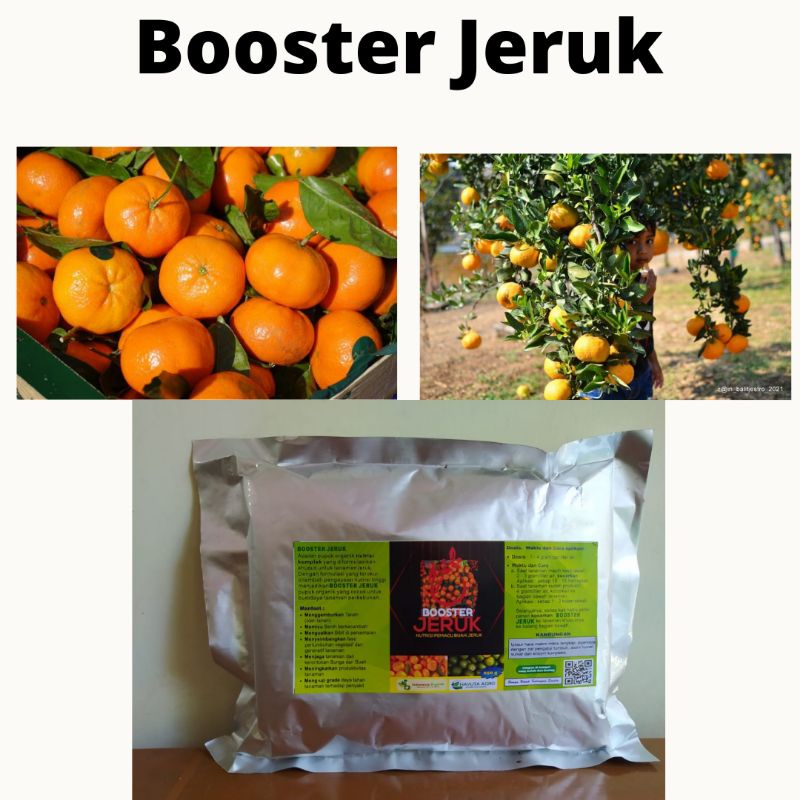 Pupuk Perangsang Bunga Buah Jeruk, Pupuk Untuk Buah Jeruk