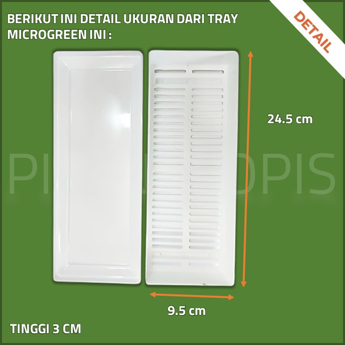 GROSIR TRAY SEMAI MICROGREEN HIDROPONIK