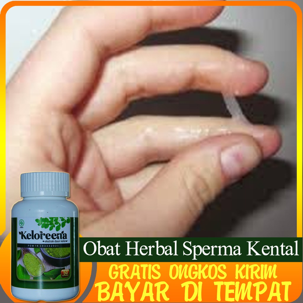 Obat Herbal Sperma Kental Berlegalitas BPOM Keloreena 50 Kapsul