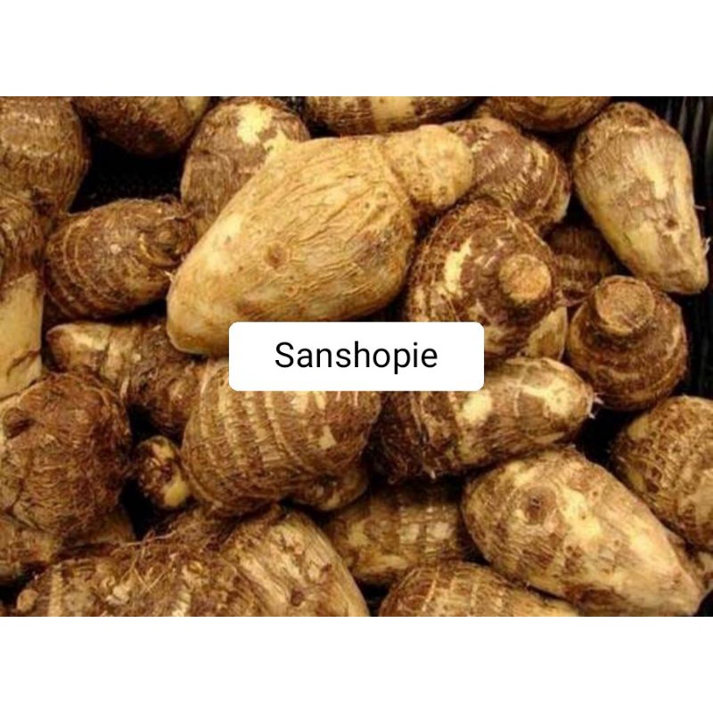 

Ubi umbi talas pulen segar paket per 1 kg