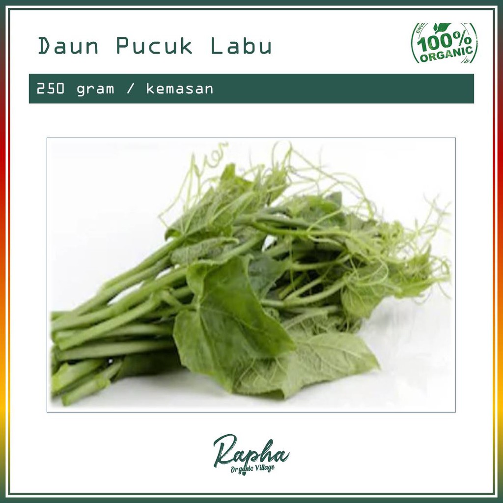 

Daun Pucuk Labu Organik