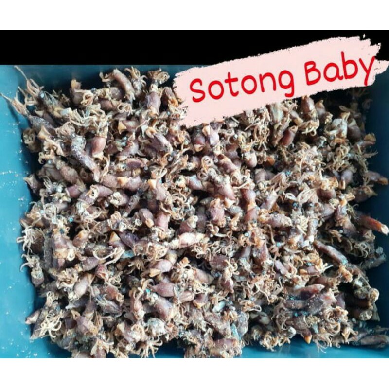 

Ikan asin sotong baby 1kg