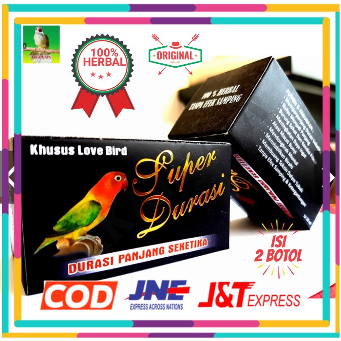 Download Burung Lovebird Ngoceh PNG