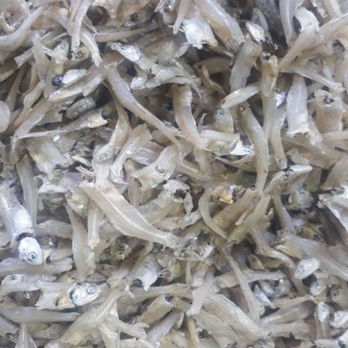 

`````````] Ikan Teri Gepeng / Bun tiao / Bun tiau / bun tiaw Super A - 500 gram