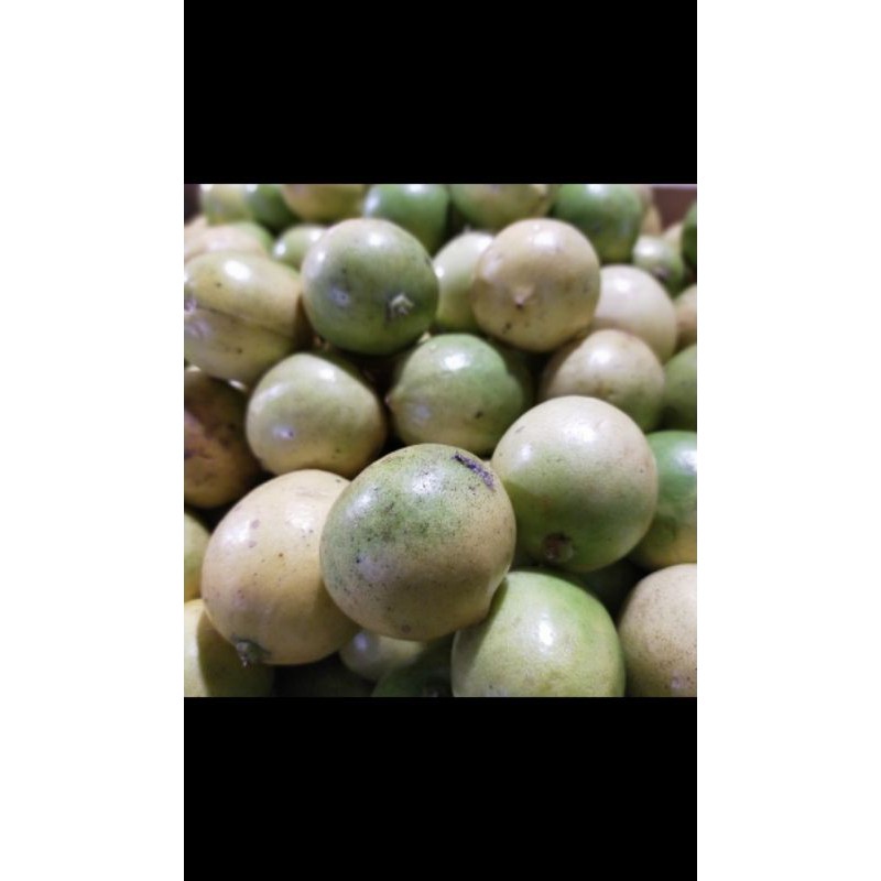 

Lemon 250 gr