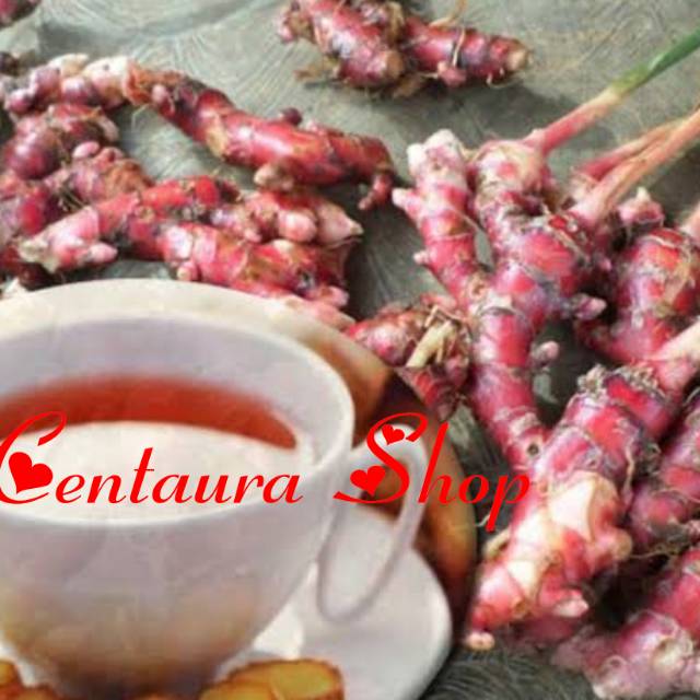 

Jahe Merah Kwalitas Super Unggul 100gr