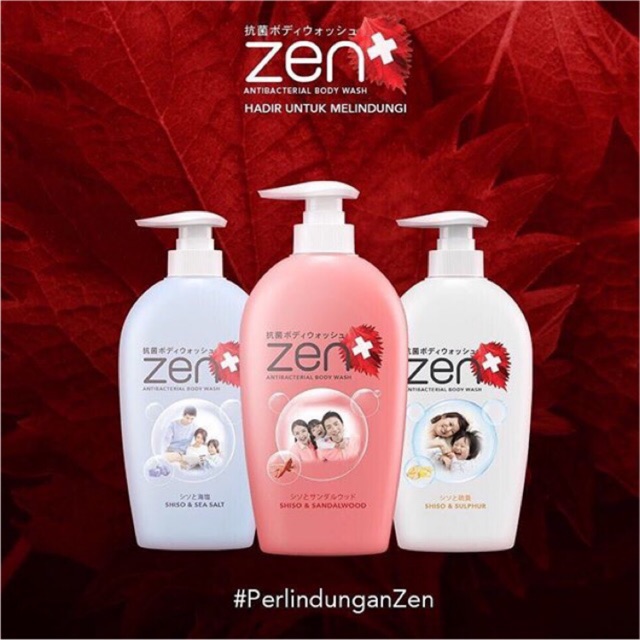 Zen Anti Bacterial Body Wash 500 mL pump