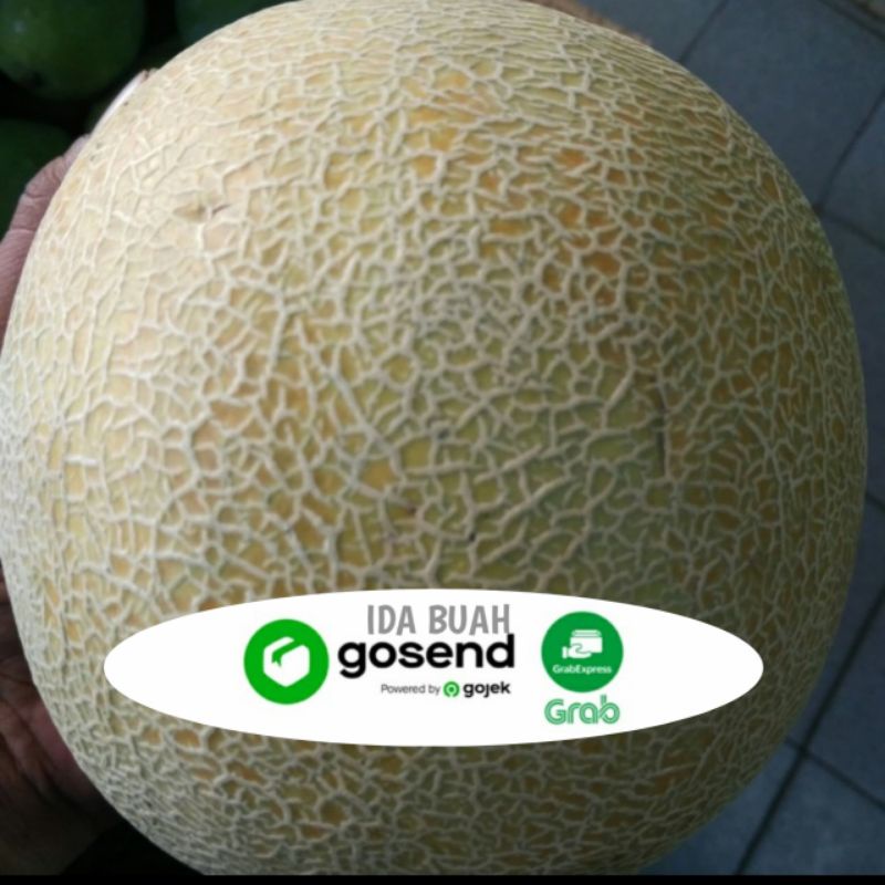 

MELON