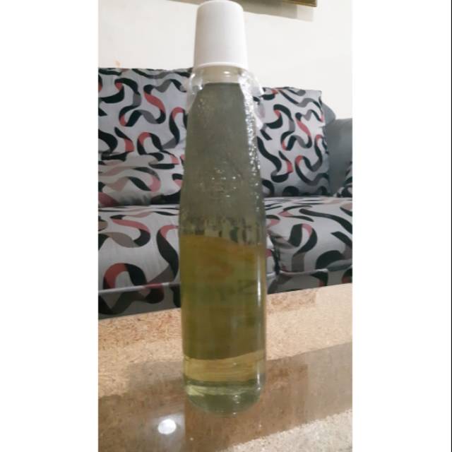 Minyak kayu putih asli ambon