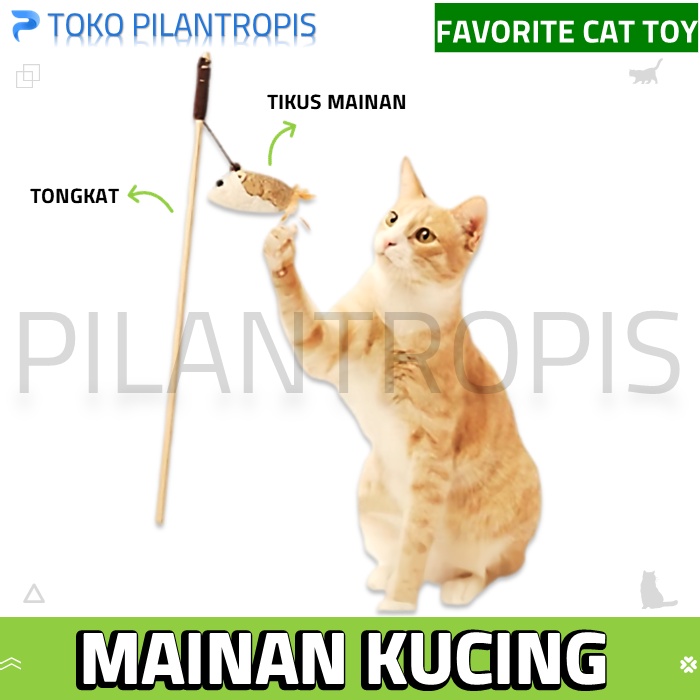 TONGKAT MAINAN KUCING CAT TEASER CAT TOY CAT TOYS STIK STICK KUCING MAINAN BONEKA TIKUS