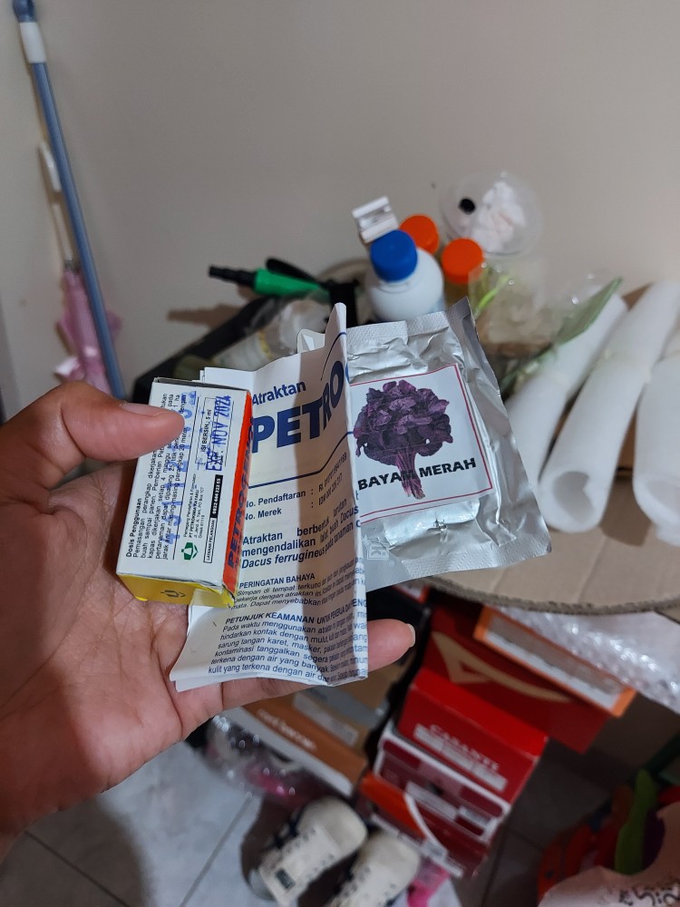 Petrogenol Perangkap Lalat Buah