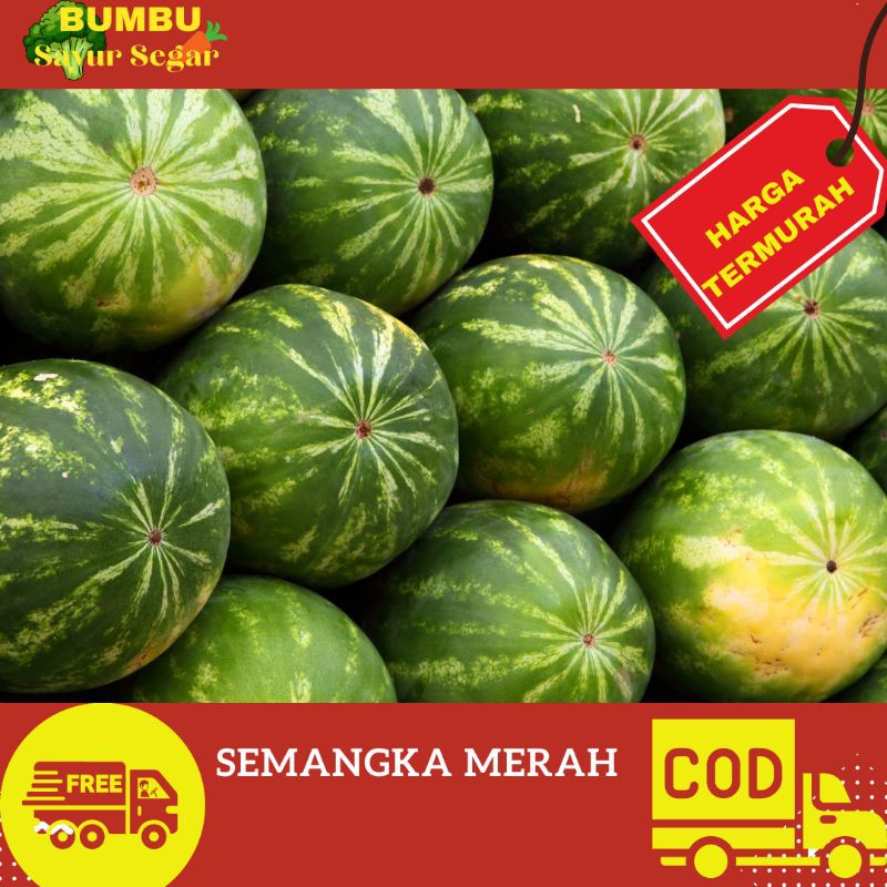 

SEMANGKA SEGAR 5kg
