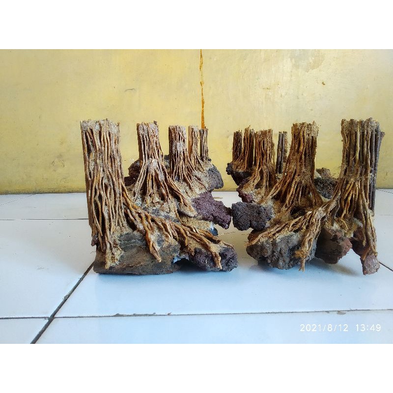 hardscape jungle costum
