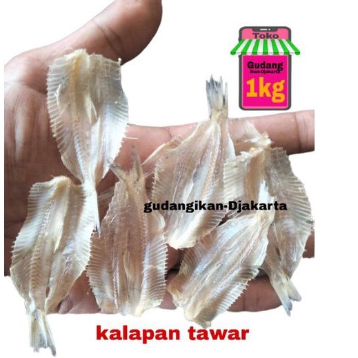 

ikan asin kalapan tawar super netto-1kg