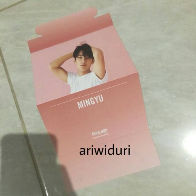 Seventeen standee [MINGYU]
