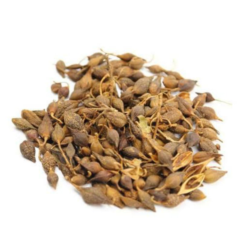 

50gr 連翹 Lian Qiao Goldenbell Weeping Forsythia Fructus Forsythiae Forsythia Suspensa