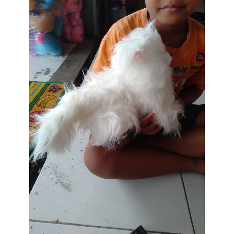 Boneka kucing bulu rasfur lembut