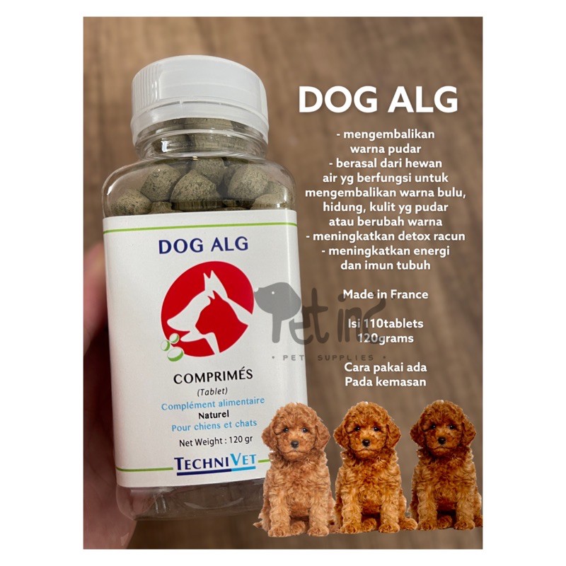 Dog ALG