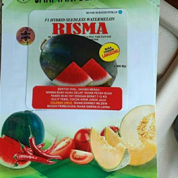 BIBIT SEMANGKA NON BIJI,  BENIH RISMA DARI SARI TANI BENIH MULIA