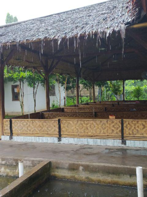 Terlaris Serut Genes Jelita Tunic Navbor Yelbor Whitbor Creambor Tunik Batik Modern Hrb030 Dolbi Dob