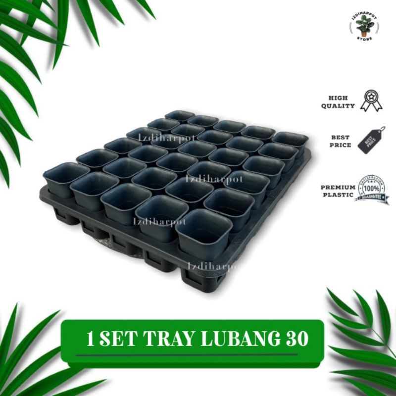 1 SET TRAY LUBANG 30 + POT NKT KOTAK 5CM HITAM 30 PCS | TRAY SEMAI BIBIT