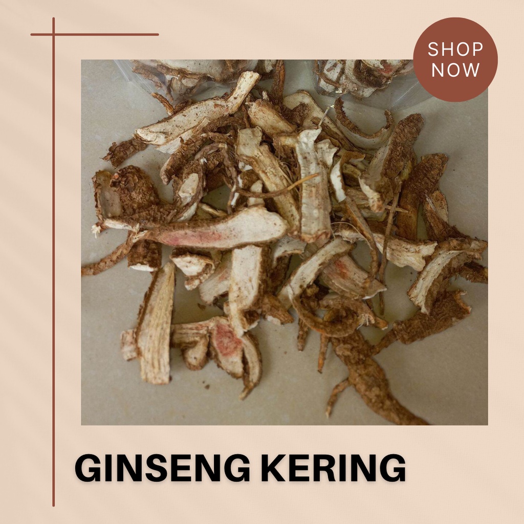 GINSENG KERING