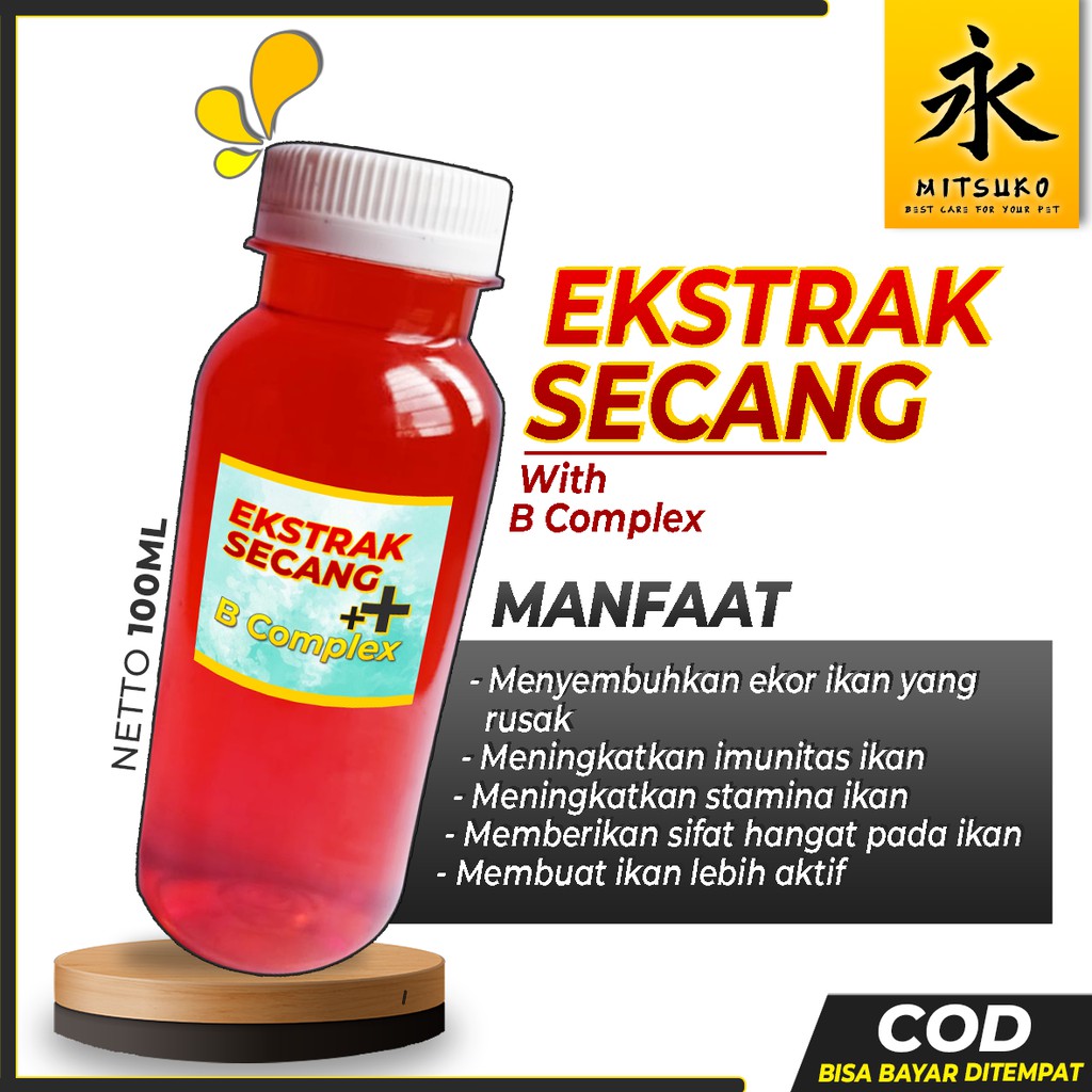 OURFISH - Ekstrak Kayu Secang Cupang Hias Blue Rim Avatar Halfmoon Giant Nemo