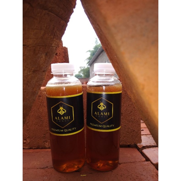 

madu hutan asli jambi