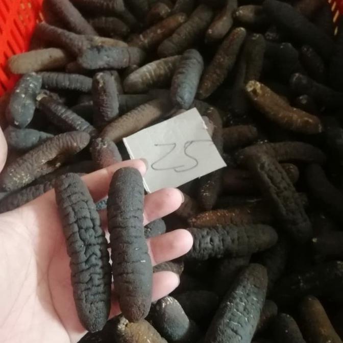 

[COD] teripang belitung/haisom gosok size 25-26 [COD]