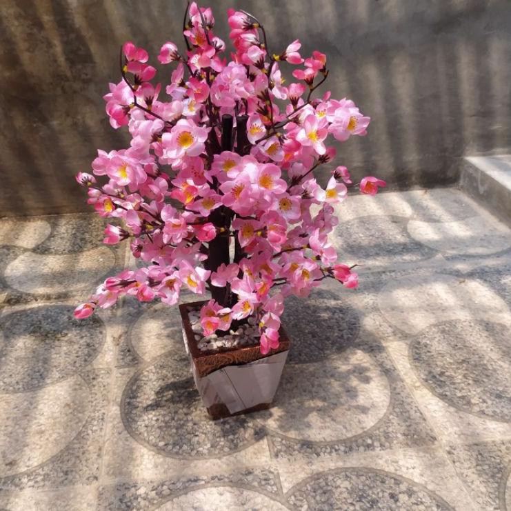 

Q20A sakura 50cm - sakura artificial- sakura plik- bunga sakura dekorasi- sakura hiasan- sakura !