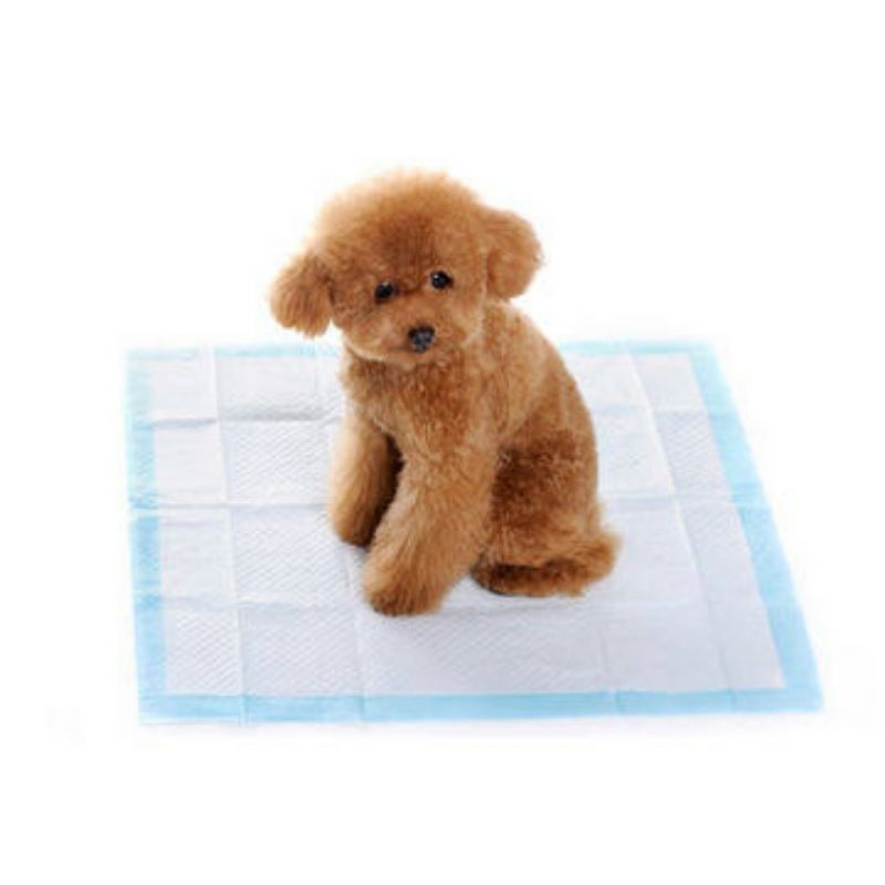 Ped underpad Pee pad for peeing dogs dog underpad amimal repellent / alas kencing anjing kucing