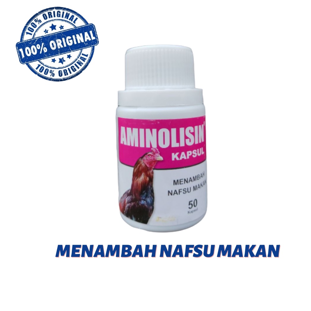 Aminolisin obat nafsu makan ayam