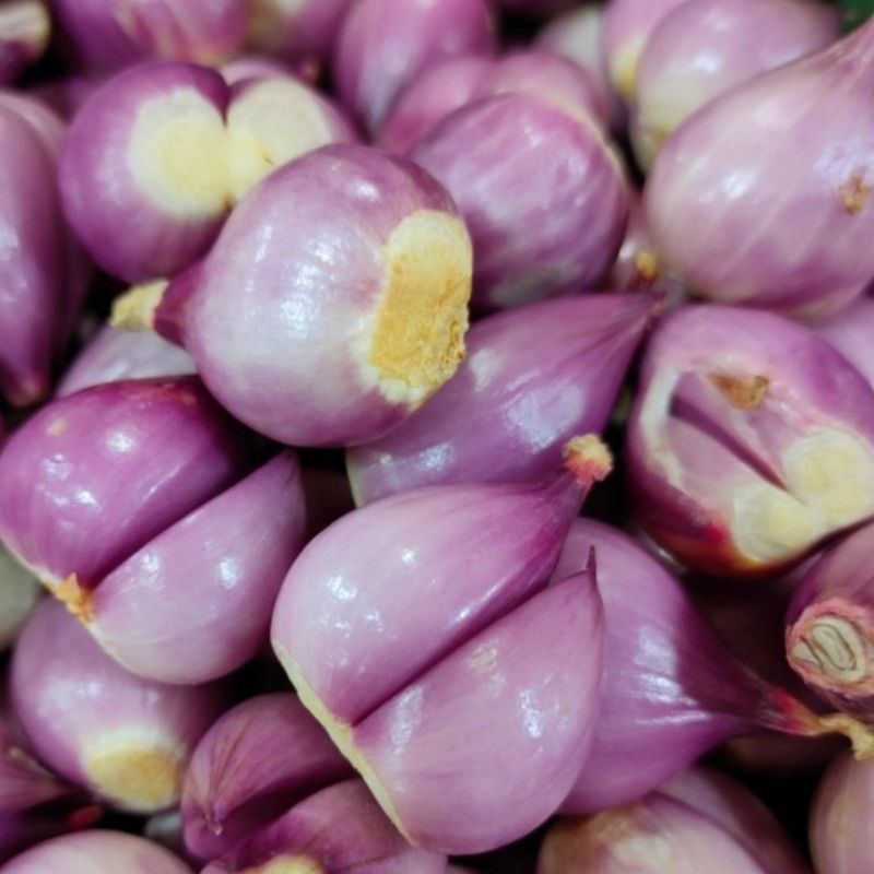 

Bawang Merah Brebes Kupas
