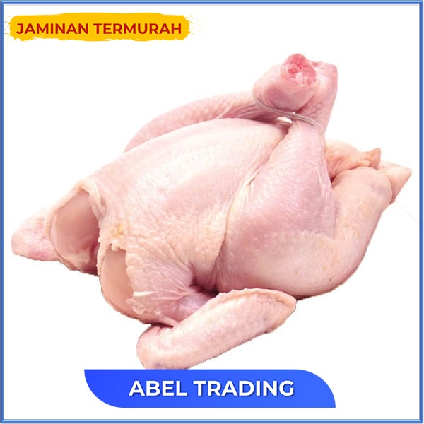 

Ayam Big Broiler 12 Up 1100 Gr