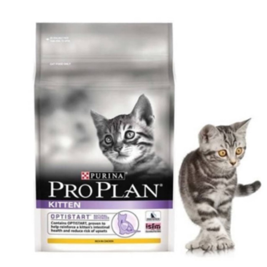 Proplan kitten 7 kg