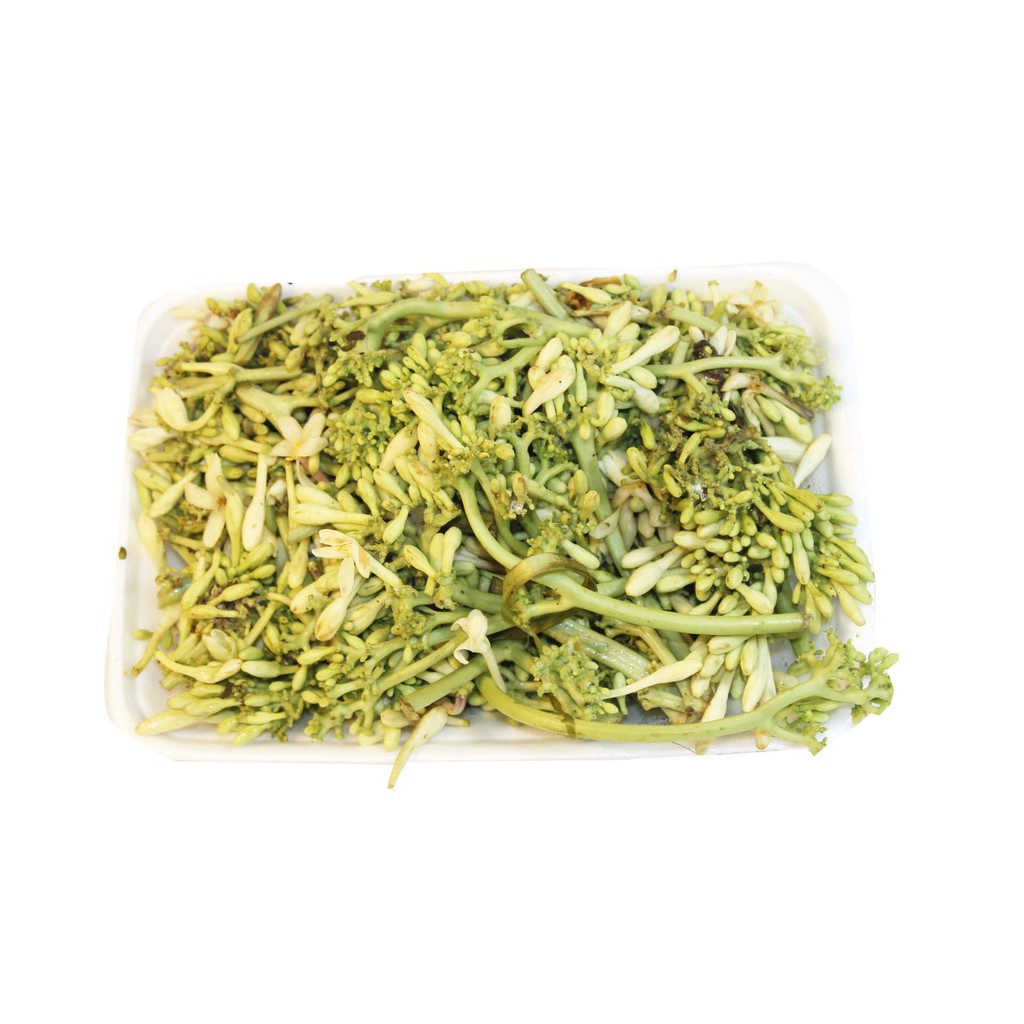 

Kembang Pepaya / Per PACK / + / - 1 Kg