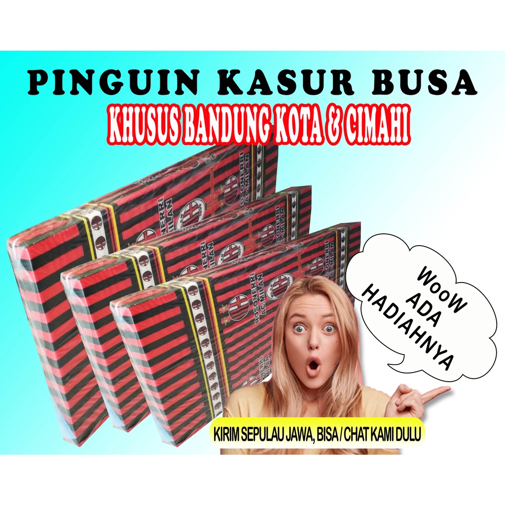 Kasur Busa Pinguin Ukuran 90 120 160 No 2 3 4 Terjangkau