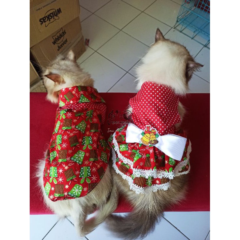 Baju kucing tema natal dress kemeja