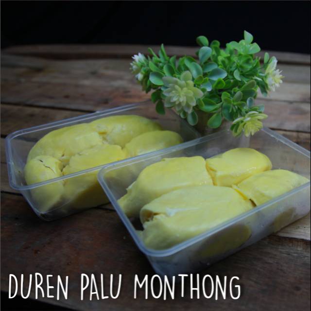 

Duren Palu Montong