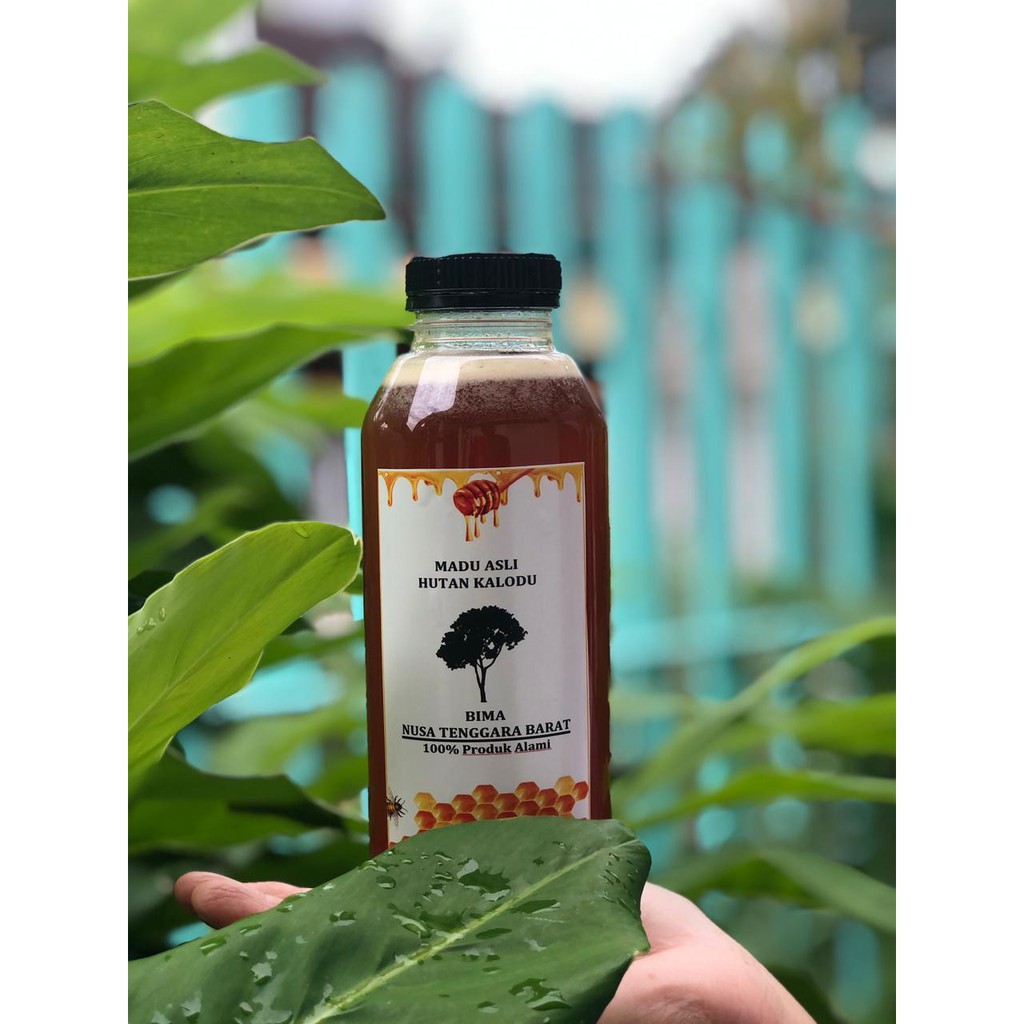 

Madu Hutan Bima