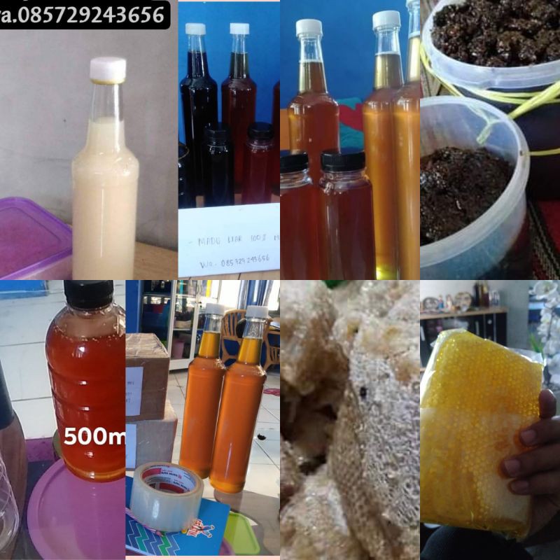 

Madu Hutan murni