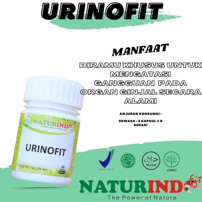 Obat Batu Ginjal Kencing Batu Penghancur Batu Ginjal Obat Kencing Batu Peluruh Batu Ginjal Herbal PE