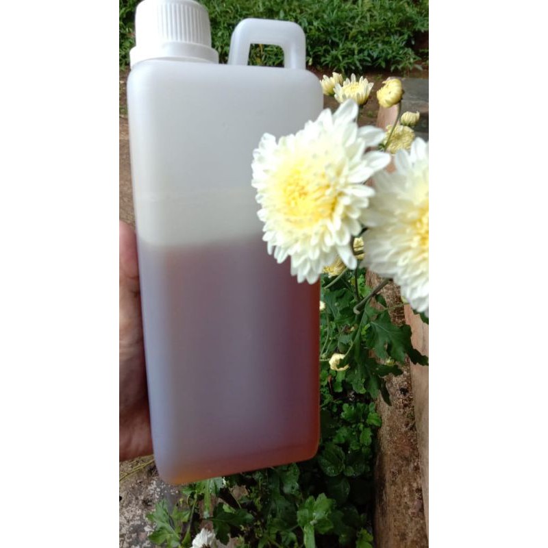 

Madu multiflora kemasan 1 kg