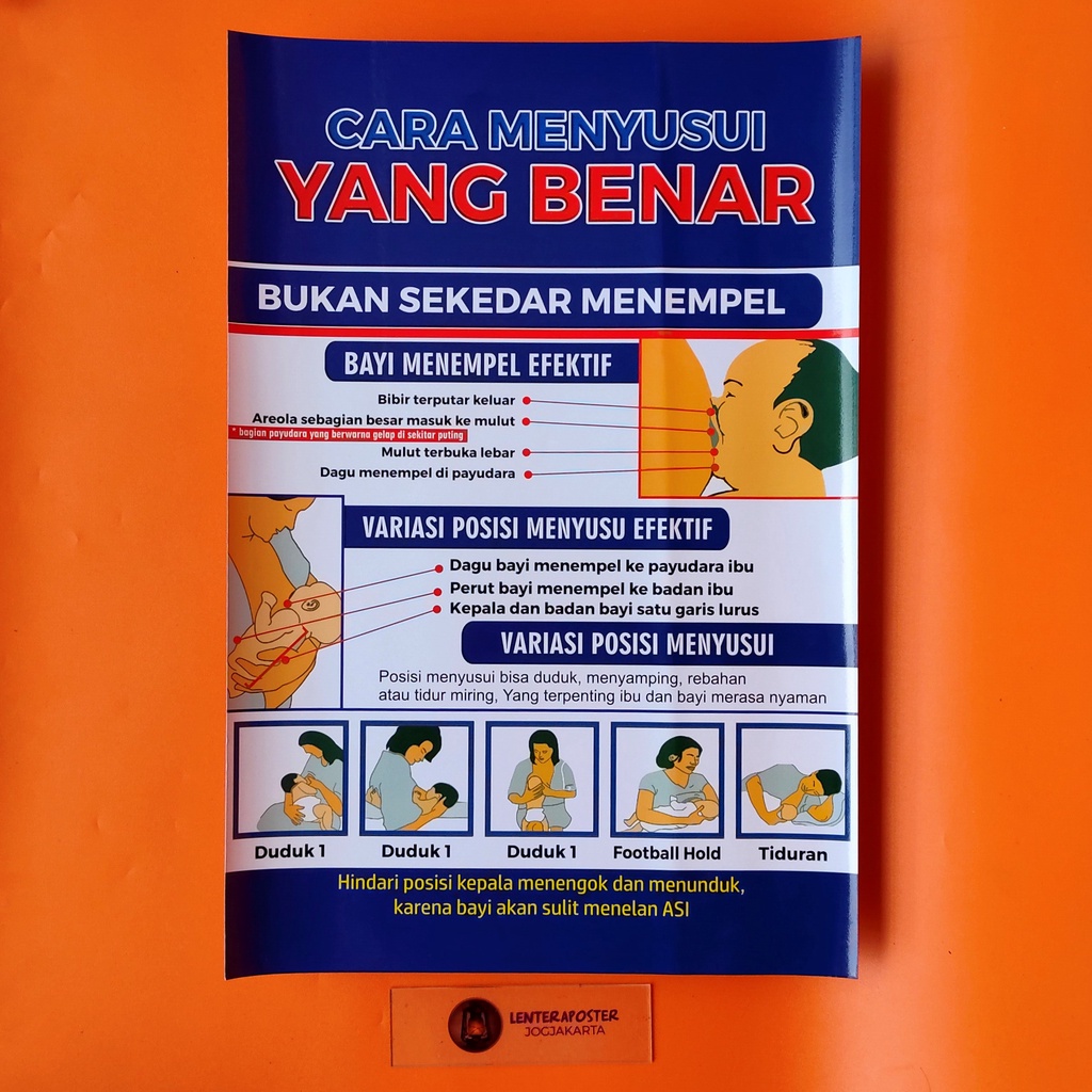 Jual Poster Cara Menyusui Poster Cara Menyusui Yang Benar Shopee