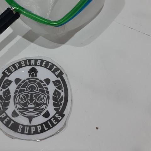 Sepasang Saringan Artemia Saringan Pemisah Cangkang Artemia 2 Set