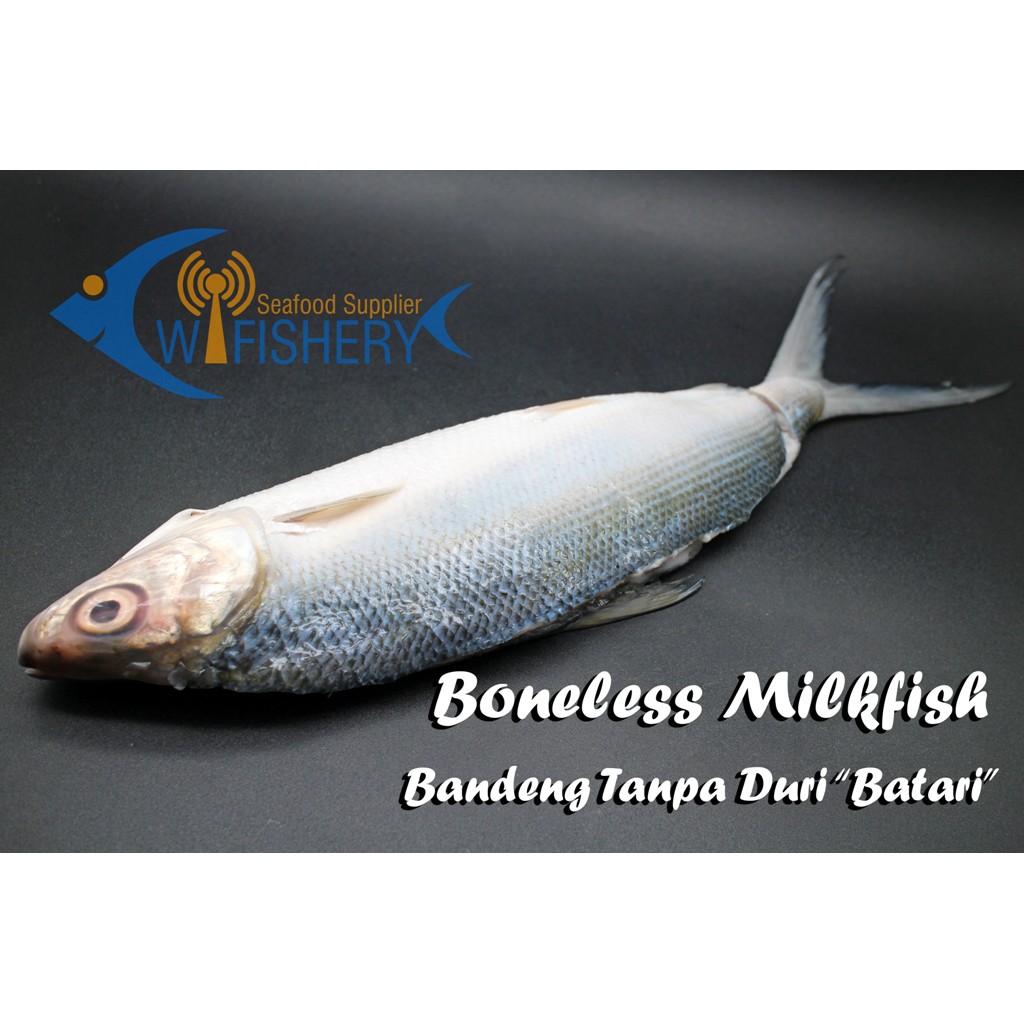 

Ikan Bandeng Tanpa Duri - Batari
