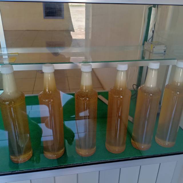 

Madu murni