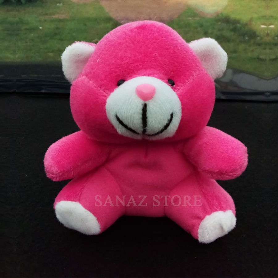 Mainan Boneka Bear Beruang untuk anak-anak perempuan dan laki-laki bayi kecil dewasa