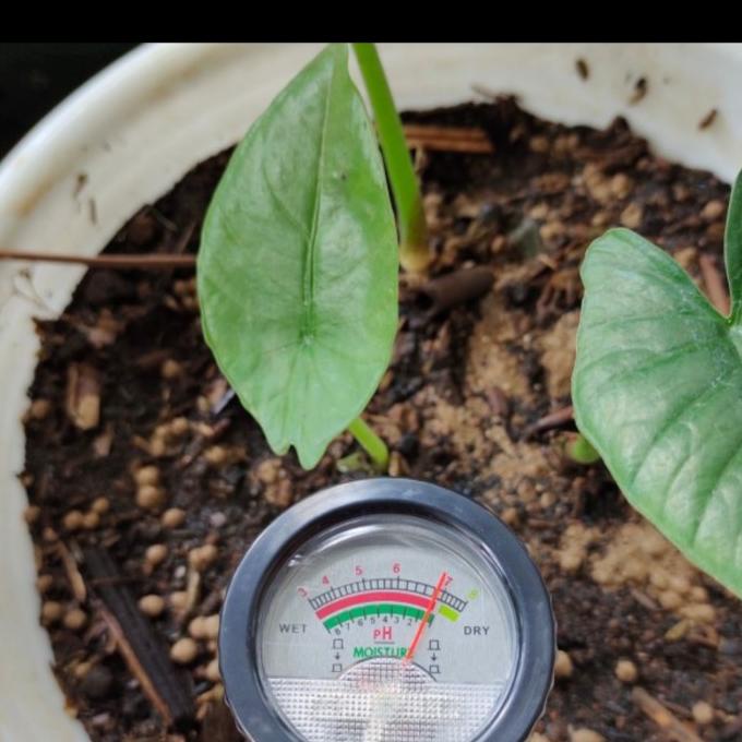 Soil Ph Tanah Vt- 05 Ph Tanah Peluru Pendek Ks05 Ready